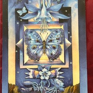 5/$15 Blue Butterfly Art Print by Jody Bergsma